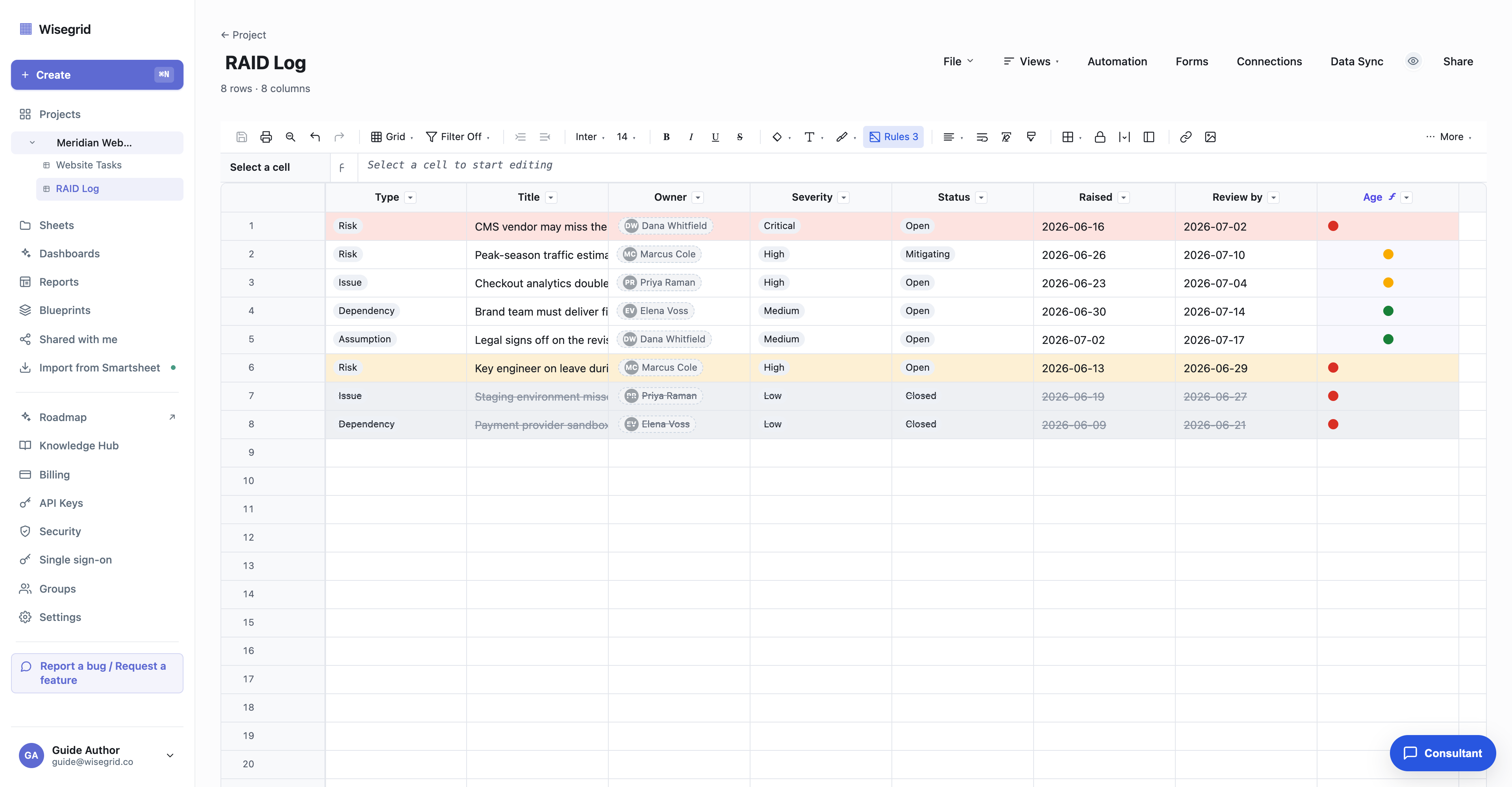 A Wisegrid sheet named RAID Log with typed columns: Type and Severity and Status dropdowns, an Owner contact column, Raised and Review by date columns, and several entries filled in.