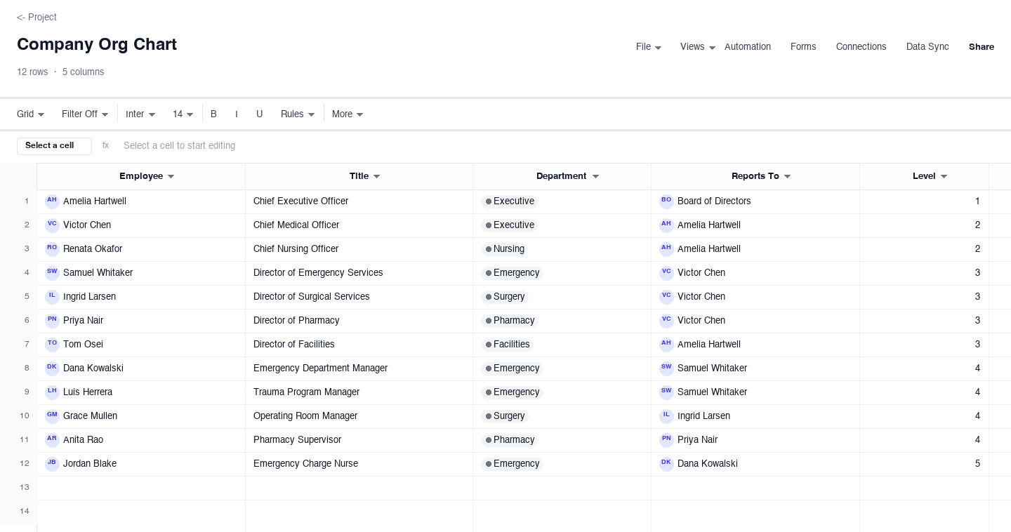 Company Org Chart: organizational chart template screenshot