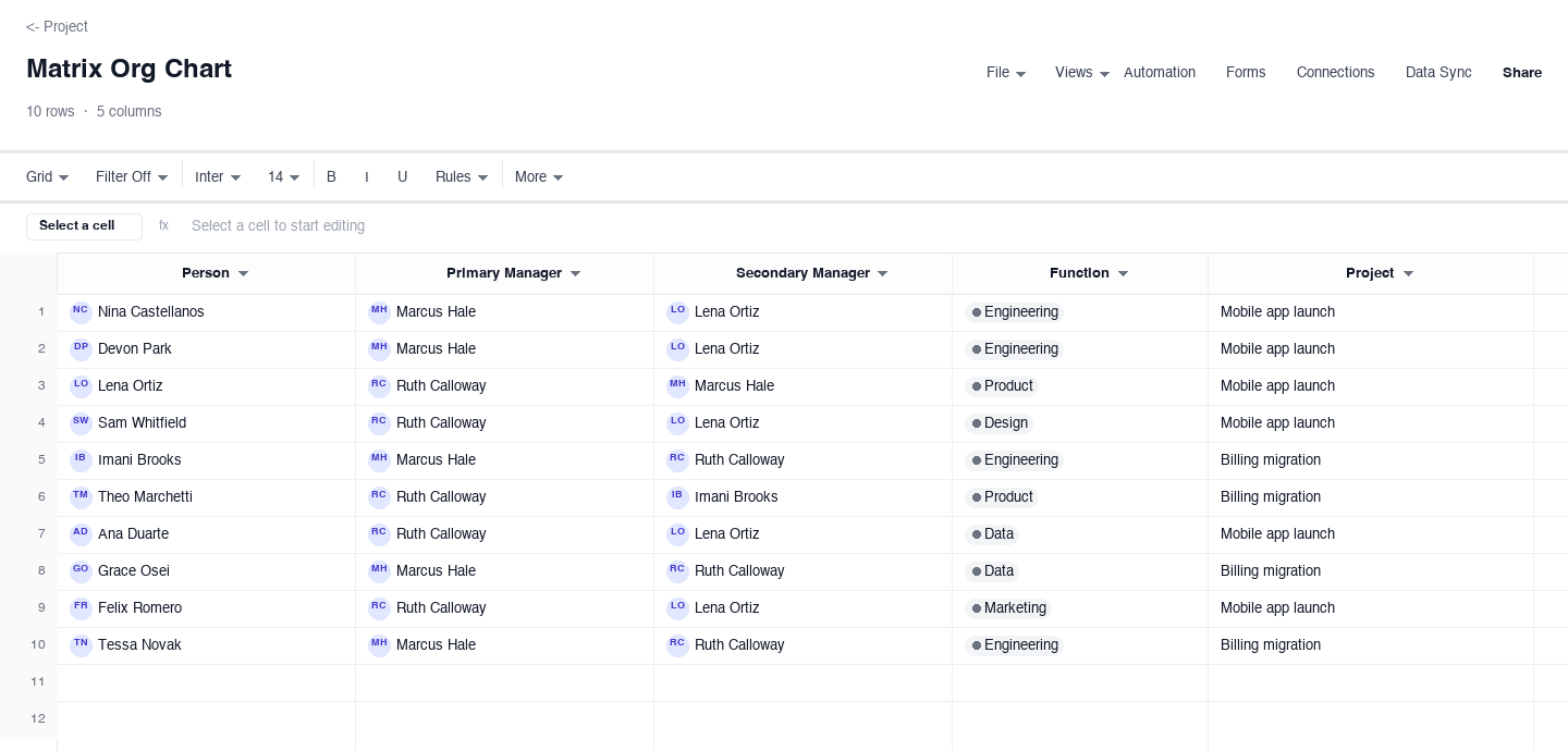 Matrix Org Chart: organizational chart template screenshot